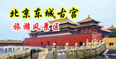 美女美穴穴20P中国北京-东城古宫旅游风景区
